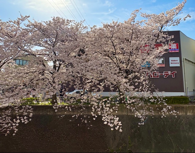 入社して約1週間！